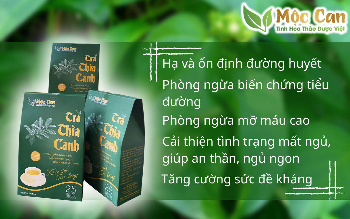 Trà dây thìa canh Mộc Can chăm sóc sức khỏe bệnh nhân tiểu đường 2